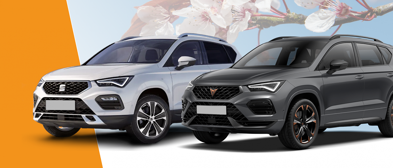 Seat und Cupra Ateca (Foto: Ratio Mobil)