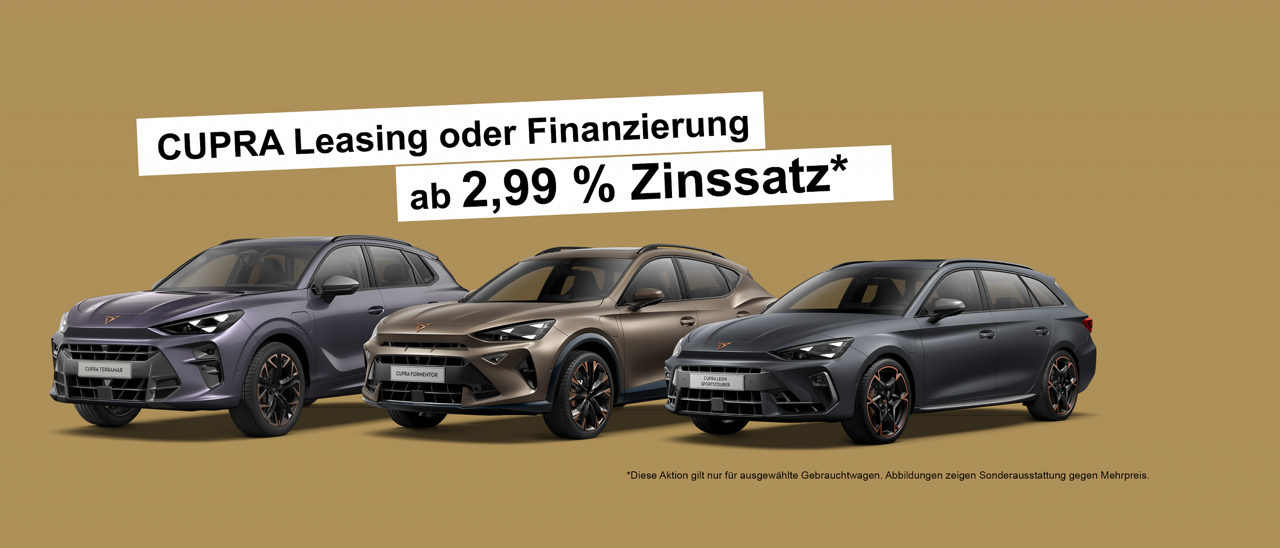 Jetzt Angebote entdecken!