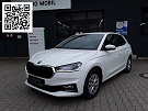 Skoda FABIA STYLE 1.0 TSI DSG, CO2-Klasse: D, KLIMA SITZHEIZ. EPH FSE