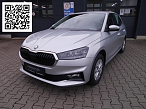 Skoda FABIA STYLE 1.0 TSI LED SITZHEIZ. EINPARKH.