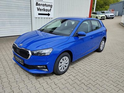 Skoda FABIA SELECTION 1.0 MPI, CO2-Klasse: D, SITZHEIZ. EINPARKH. DAB+