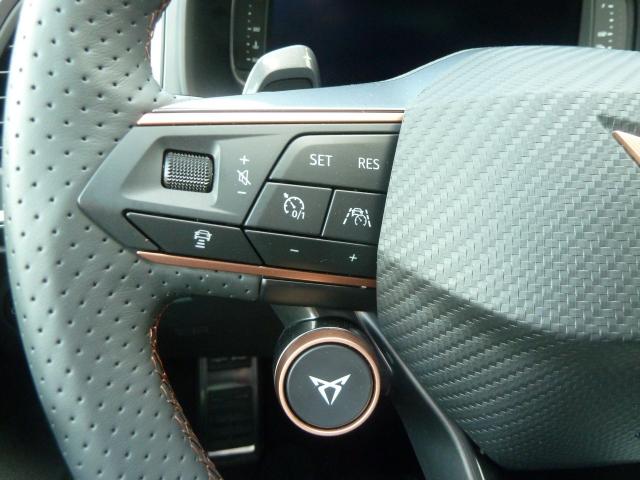 Cupra ATECA 2.0 TSI DSG 4DRIVE, CO2-Klasse: G, TOP-VIEW-KAMERA NAVI Bildbeschreibung: Cupra ATECA 2.0 TSI DSG 4DRIVE, CO2-Klasse: G, TOP-VIEW-KAMERA NAVI