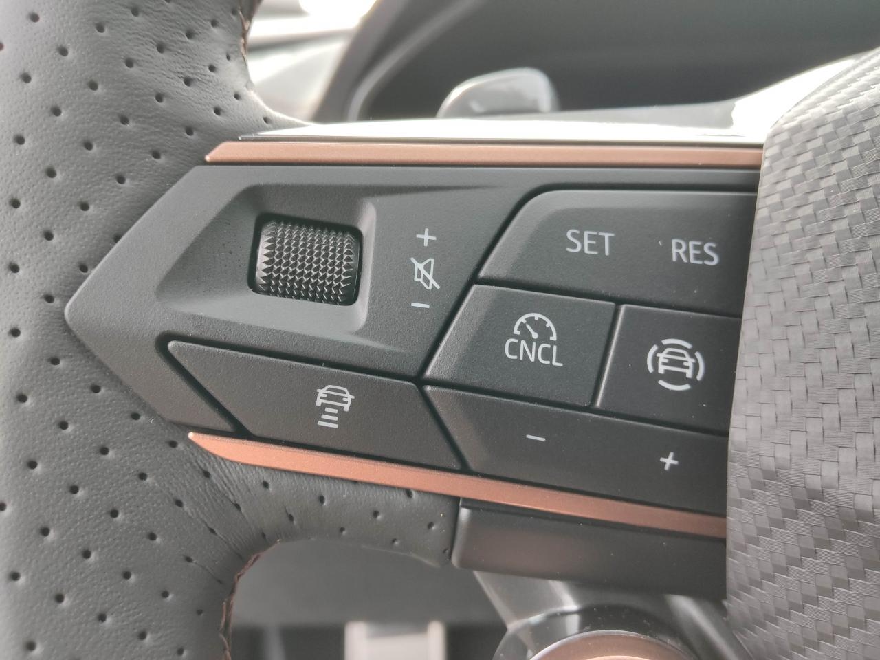Cupra FORMENTOR 2.0 TDI DSG, CO2-Klasse: D, NAVI SITZHEIZ. KAMERA Bildbeschreibung: Cupra FORMENTOR 2.0 TDI DSG, CO2-Klasse: D, NAVI SITZHEIZ. KAMERA